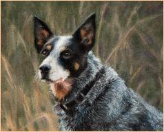 FrenchLindaBoyBluepastel8x9